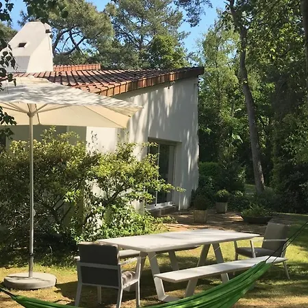 Maison D'architecte En Foret Du Touquet